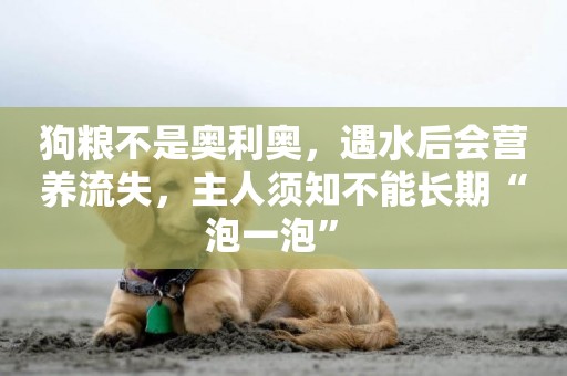 狗糧不是奧利奧，遇水后會營養流失，主人須知不能長期“泡一泡” 