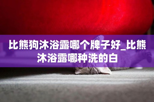 比熊狗沐浴露哪個牌子好_比熊沐浴露哪種洗的白