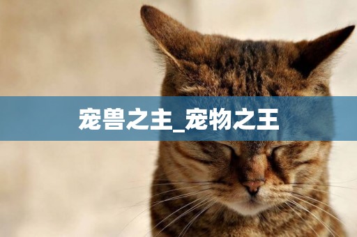 寵獸之主_寵物之王
