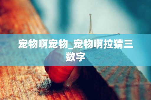 寵物啊寵物_寵物啊拉猜三數字