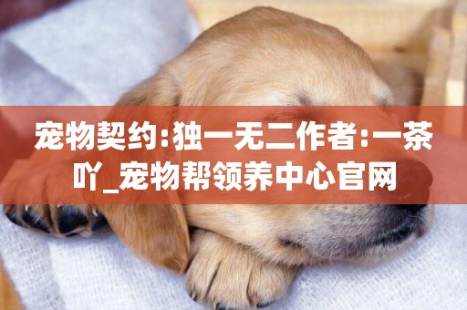 寵物契約:獨一無二作者:一茶吖_寵物幫領養中心官網
