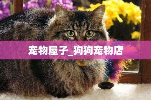 寵物屋子_狗狗寵物店