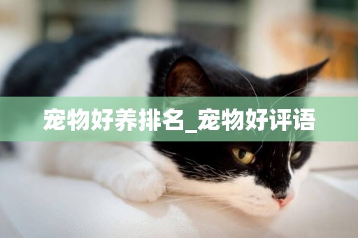 寵物好養排名_寵物好評語