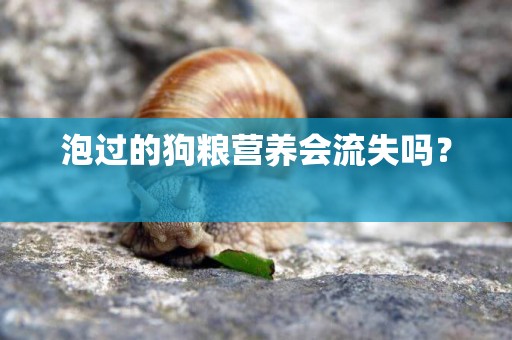 泡過的狗糧營養會流失嗎？ 