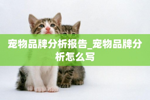 寵物品牌分析報告_寵物品牌分析怎么寫