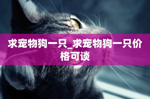 求寵物狗一只_求寵物狗一只價格可談