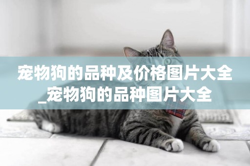 寵物狗的品種及價格圖片大全_寵物狗的品種圖片大全