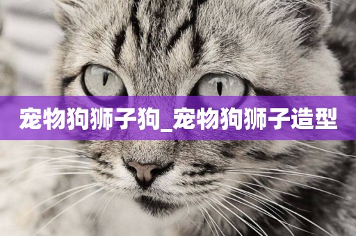 寵物狗獅子狗_寵物狗獅子造型