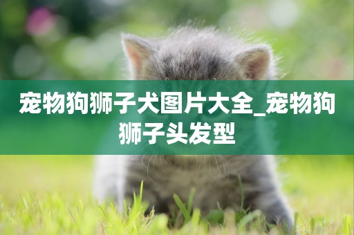 寵物狗獅子犬圖片大全_寵物狗獅子頭發型