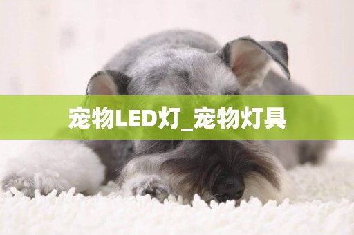 寵物LED燈_寵物燈具