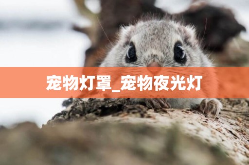 寵物燈罩_寵物夜光燈