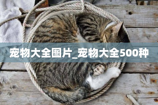 寵物大全圖片_寵物大全500種