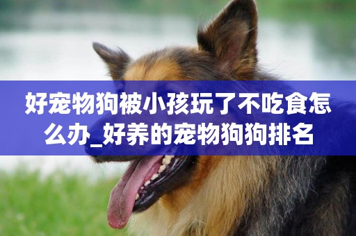 好寵物狗被小孩玩了不吃食怎么辦_好養的寵物狗狗排名