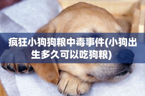 瘋狂小狗狗糧中毒事件(小狗出生多久可以吃狗糧) 