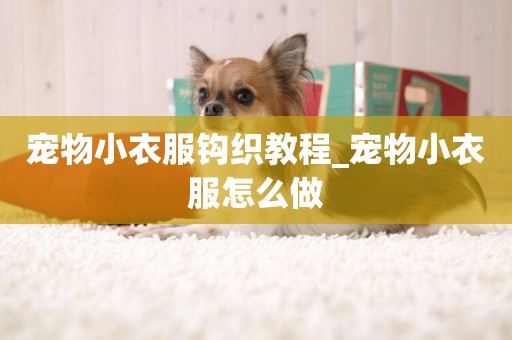 寵物小衣服鉤織教程_寵物小衣服怎么做