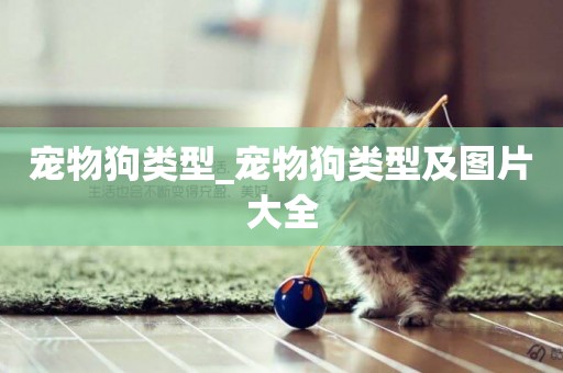 寵物狗類型_寵物狗類型及圖片大全