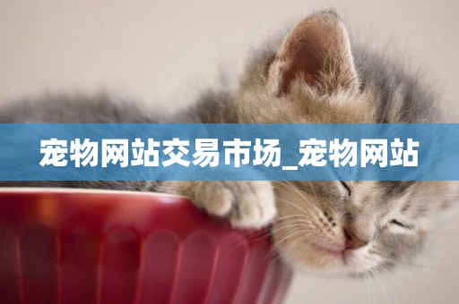 寵物網站交易市場_寵物網站