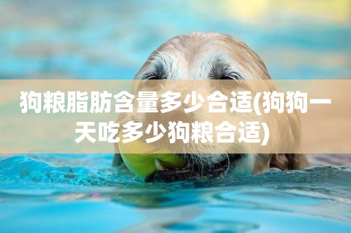 狗糧脂肪含量多少合適(狗狗一天吃多少狗糧合適) 