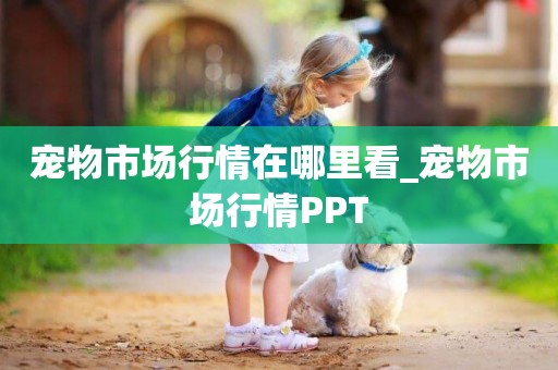 寵物市場行情在哪里看_寵物市場行情PPT