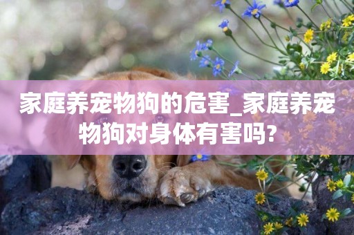 家庭養寵物狗的危害_家庭養寵物狗對身體有害嗎?