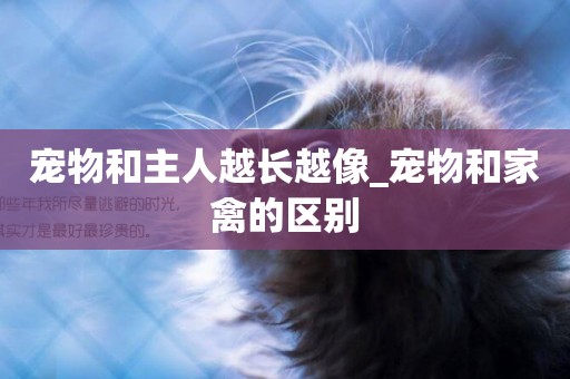寵物和主人越長越像_寵物和家禽的區別