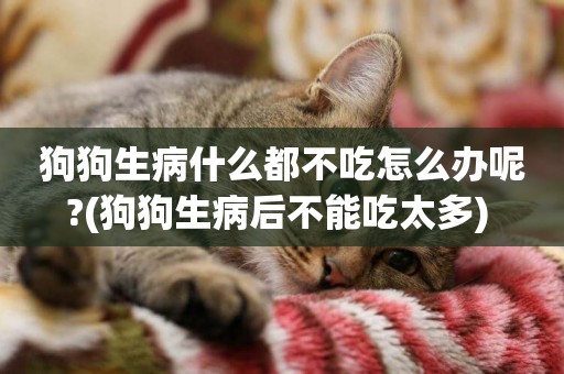 狗狗生病什么都不吃怎么辦呢?(狗狗生病后不能吃太多) 