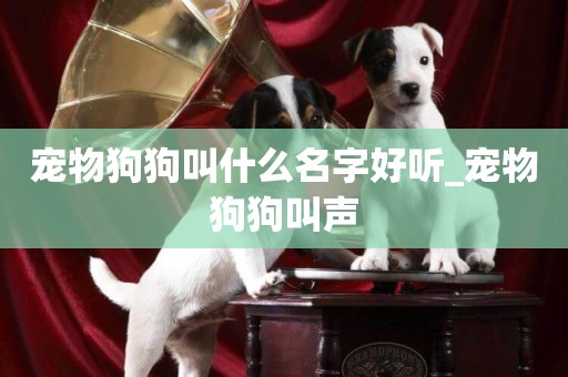 寵物狗狗叫什么名字好聽_寵物狗狗叫聲