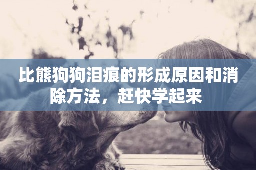 比熊狗狗淚痕的形成原因和消除方法，趕快學起來 