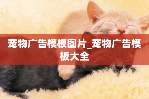 寵物廣告模板圖片_寵物廣告模板大全