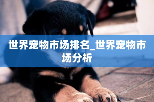 世界寵物市場排名_世界寵物市場分析