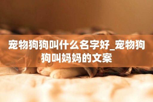 寵物狗狗叫什么名字好_寵物狗狗叫媽媽的文案