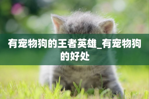 有寵物狗的王者英雄_有寵物狗的好處