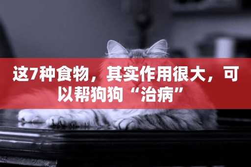 這7種食物，其實作用很大，可以幫狗狗“治病” 