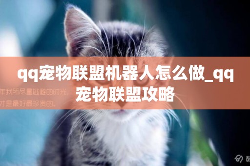 qq寵物聯盟機器人怎么做_qq寵物聯盟攻略