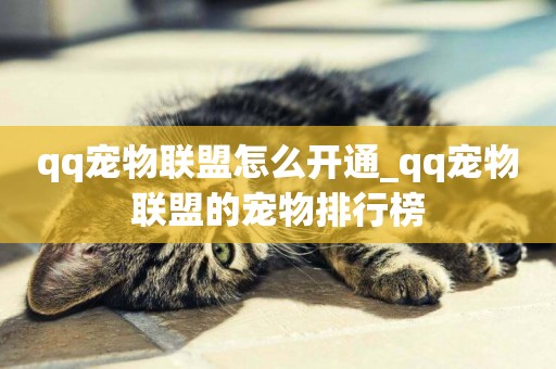 qq寵物聯盟怎么開通_qq寵物聯盟的寵物排行榜