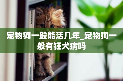 寵物狗一般能活幾年_寵物狗一般有狂犬病嗎