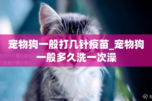 寵物狗一般打幾針疫苗_寵物狗一般多久洗一次澡