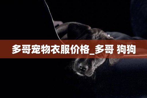多哥寵物衣服價格_多哥 狗狗