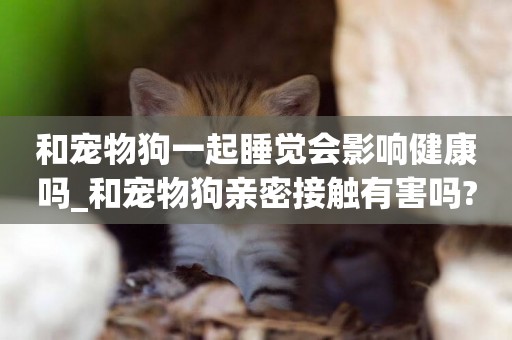 和寵物狗一起睡覺會影響健康嗎_和寵物狗親密接觸有害嗎?