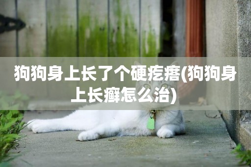 狗狗身上長了個硬疙瘩(狗狗身上長癬怎么治) 
