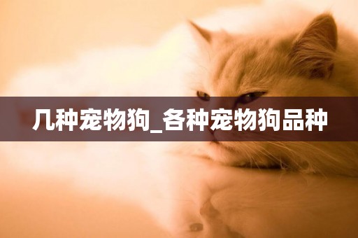 幾種寵物狗_各種寵物狗品種