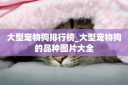 大型寵物狗排行榜_大型寵物狗的品種圖片大全