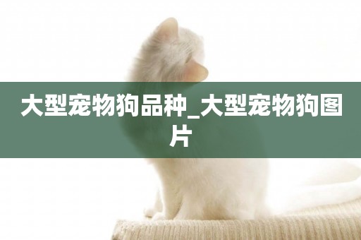 大型寵物狗品種_大型寵物狗圖片