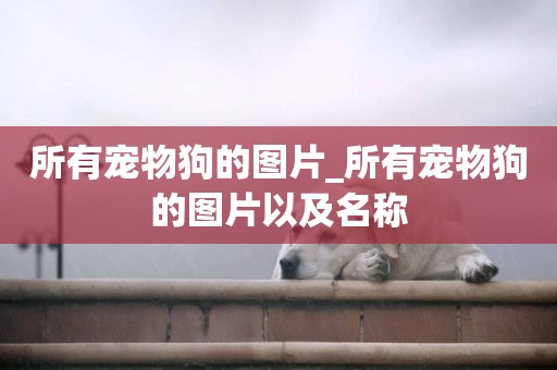 所有寵物狗的圖片_所有寵物狗的圖片以及名稱