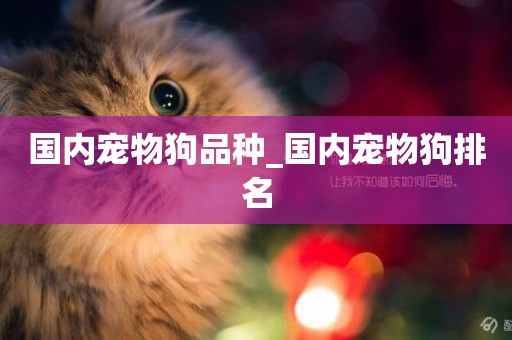 國內寵物狗品種_國內寵物狗排名