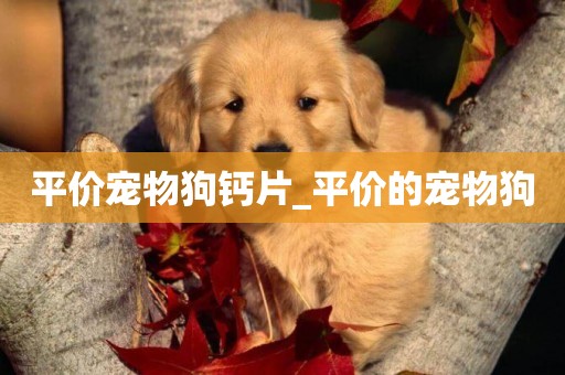 平價寵物狗鈣片_平價的寵物狗