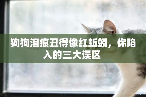 狗狗淚痕丑得像紅蚯蚓，你陷入的三大誤區 