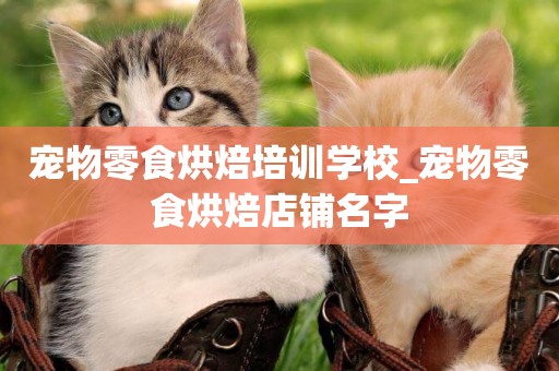 寵物零食烘焙培訓學校_寵物零食烘焙店鋪名字