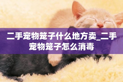 二手寵物籠子什么地方賣_二手寵物籠子怎么消毒