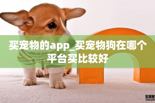 買寵物的app_買寵物狗在哪個平臺買比較好